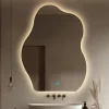 Gương soi đèn led hình cá heo
