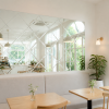 Gương Quán Cafe 2 gương quán cafe trong không gian sáng với gương tường, bàn gỗ, cây xanh và cửa sổ lớn